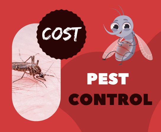 Cost of Controlling Pests of Your House